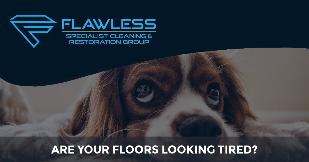 Flawless Carpet Cleaning Carpet Cleaners in Nottingham