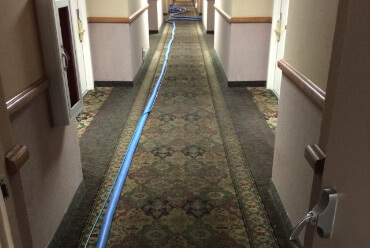 Commercial Carpet Cleaners Nottingham