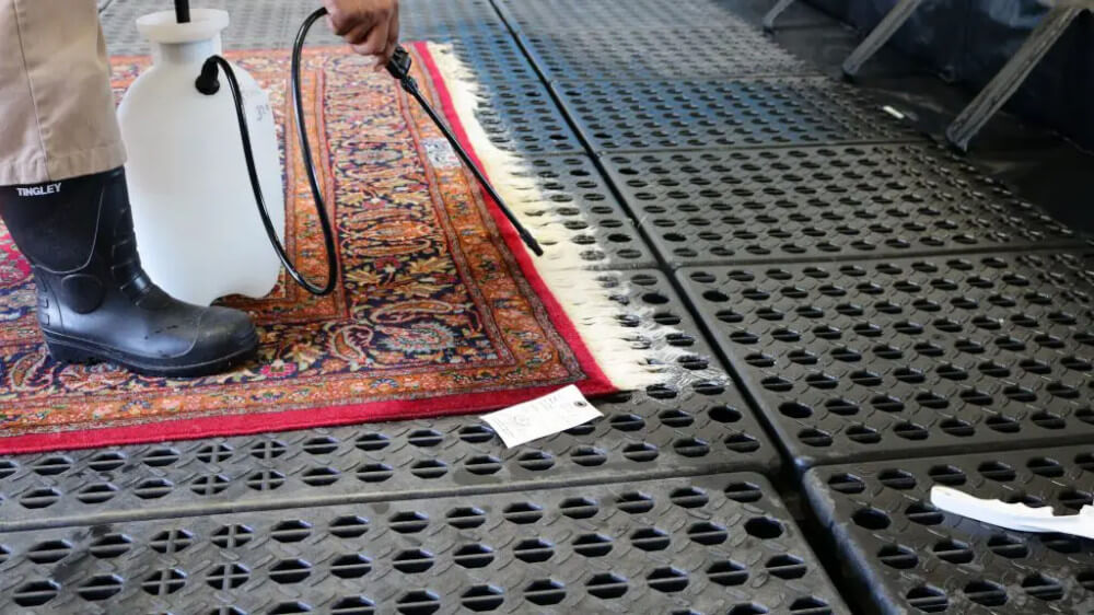 Rug Cleaners in Nottingham Flawless Carpet Cleaning