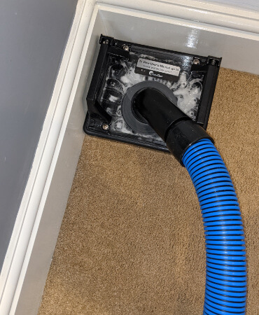 Pet Stain Removal Nottingham